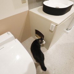 なんと洗面台の側面に、猫用トイレへの入口が。